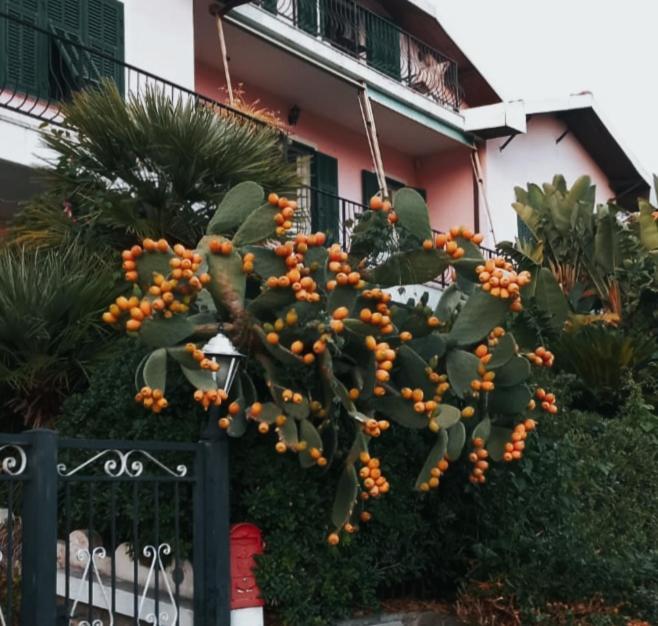 Ferienwohnung Giardino Miramare Citra Zero Zero Ottanta Trentuno Lt 0737 Imperia Exterior foto